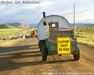 Custom sign with stripes